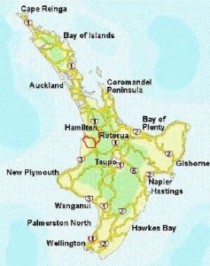 Route: Hamilton - Waitomo