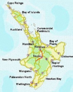 Route: National Park Village - Rotorua