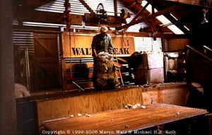 Sheepshearing auf der Walter Peak Station
