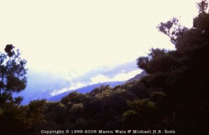 Frühmorgens zwischen Te Anau und Milford Sound